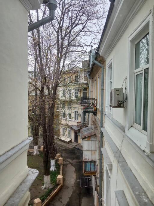 White Door Apartments Heart Of Odessa 1 Exterior foto